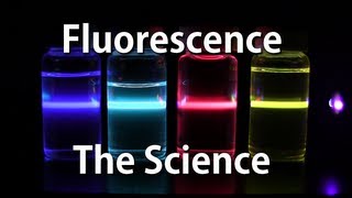 How Fluorescence Works  The Science [upl. by Sasnak]