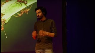 La 2ème loi de la jungle  lentraide  Pablo Servigne  TEDxENTPE [upl. by Susej]