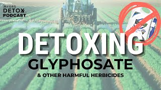 Glyphosate and How to Detox It with Dr Stephanie Seneff [upl. by Mast]