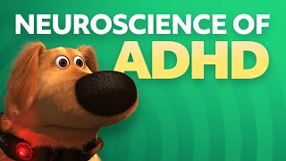 How is ADHD Diagnosed [upl. by Vinaya647]