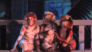 CATS the Musical  Tech Rehearsal Act 1 [upl. by Jecon]