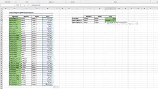 Excel Paieška pagal kelis parametrus [upl. by Sirromal]