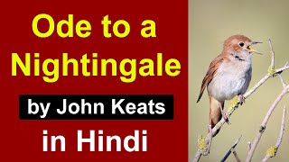 Ode to a Nightingale in Hindi  poem by John Keats  Complete summary and analysis [upl. by Oetomit]