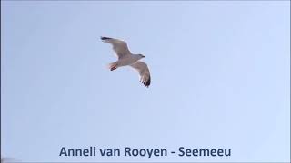 Anneli van Rooyen  Seemeeu [upl. by Icyac629]