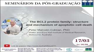 The BCL2 protein family structure and mechanism of apoptotic cell death [upl. by Adaha]