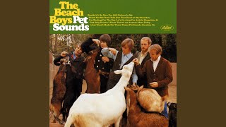 Pet Sounds Mono [upl. by Opportina636]