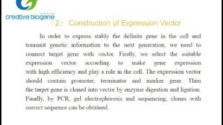 Gene overexpression protocol Creative Biogene [upl. by Jerome]