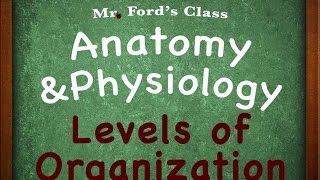 Introduction To Anatomy Physiology Levels of Organization 0103 [upl. by Yeldahc571]