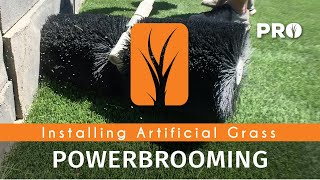 Powerbrooming Artificial Grass  Step 8 [upl. by Hortense570]