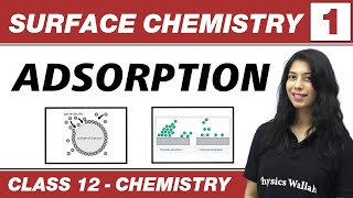 Surface Chemistry 01  Adsorption  Class 12 NCERT [upl. by Marianna]