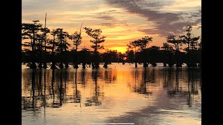 ReelFoot Lake  Bluegill Fishing Resort Reviews and Catfishing [upl. by Otilia365]