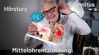 Das Ohr  Tinnitus Mittelohrentzündungen Tuben Probleme uvm  Ursache und Hilfe  Teil 1 [upl. by Nosredna]