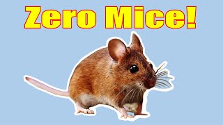 How to Get Rid of Mice 100 Percent Guaranteed [upl. by Llevrac]