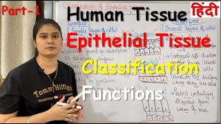 Tissue in Hindi  Epithelial Tissue  Functions  Classification  Part1 [upl. by Ibrahim]