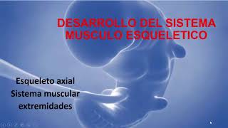 Desarrollo del sistema musculoesquelético [upl. by Ettenuj]