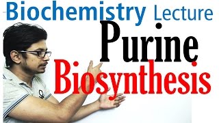 Purine biosynthesis [upl. by Pansie]