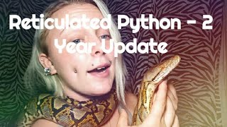 Reticulated Python  2 Year Update [upl. by Ettennyl]