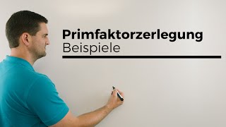 Primfaktorzerlegung Beispiele  Mathe by Daniel Jung [upl. by Mitman]