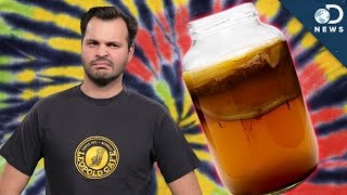 WTF Is Kombucha [upl. by Samanthia]