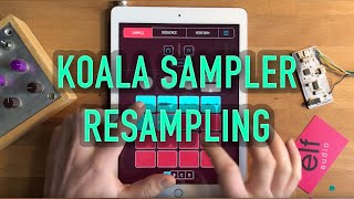 Koala Sampler Resampling Tutorial [upl. by Cello794]