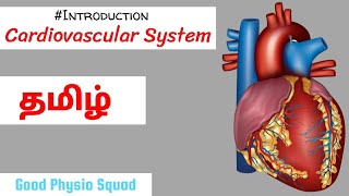 Physiology  Introduction to the Cardiovascular System in Tamil Lecture [upl. by Ahcarb]