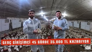 20000 ETLİK CİVCİV 45 GÜNDE KAÇ PARA KAZANDIRIR [upl. by Nohsar269]