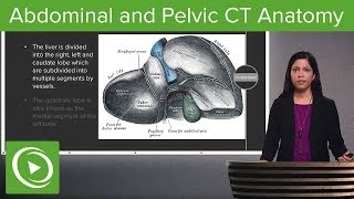 Normal Abdominal amp Pelvic CT Anatomy Algorithm – Radiology  Lecturio [upl. by Eberhard]