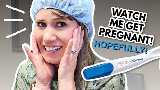 WATCH ME GET PREGNANT  SURROGACY [upl. by Leumek789]