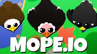 Attack of the BIRDS  NEW Mopeio Update  Mopeio Gameplay [upl. by Sukin]