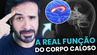 A REAL FUNÇÃO DO CORPO CALOSO [upl. by Eisenberg]