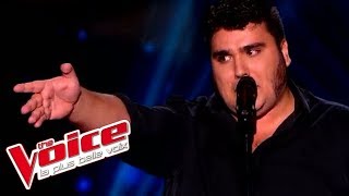 Jacques Brel  Ces gens là  Yoann Launay  The Voice France 2015  Blind Audition [upl. by Sarson]