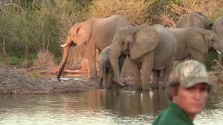 Chirundu Safari Lodge  Tamarind Tented Camp amp Exclusive Camp Sitess [upl. by Teiv]