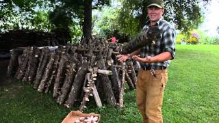 Agroforestry Cultivation of Shiitake Mushrooms [upl. by Ellehsor]