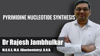 Pyrimidine nucleotide synthesis and degradation [upl. by Saduj]