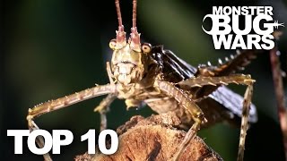 TOP 10 BUG FIGHTS  MONSTER BUG WARS [upl. by Ayet]