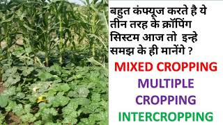 What is mixed cropping   multiple cropping  intercropping And Their difference [upl. by Cutlip667]