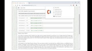 Allow CORS  Browser Extension Review [upl. by Einahpad]