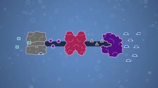 Enzymes Feedback Inhibition and Allosteric Regulation [upl. by Anallise888]