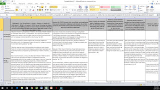 How to Create a Literature Matrix Excel [upl. by Irelav13]