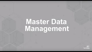 What is Master Data Management MDM [upl. by Nason381]