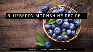 Delicious Blueberry Moonshine [upl. by Kenon741]