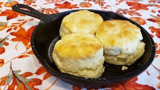 2 Ingredient Biscuits  The Hillbilly Kitchen [upl. by Ynaoj638]