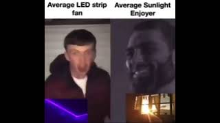 Average LED strip fan vs Average Sunlight Enjoyer [upl. by Brynn]