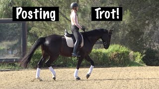 How and Why to Post the Trot [upl. by Joanne]