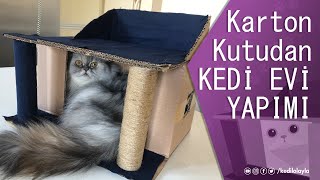 Karton kutudan kedi evi yapımı kendin yap DIY [upl. by Hallee116]