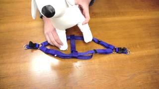 PetChampion  Step in Harness How To [upl. by Anitnelav]