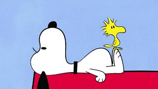 Snoopy and Woodstock  Compilation 5 [upl. by Netta111]