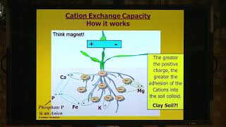 How Cation Exchange Capacity works [upl. by Nevlin873]