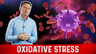 Oxidative Stress Immune System and Viral Infection [upl. by Merete618]