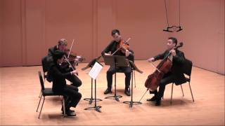 Haydn  String Quartet Op 33 No 3 quotThe Birdquot [upl. by Jaylene]